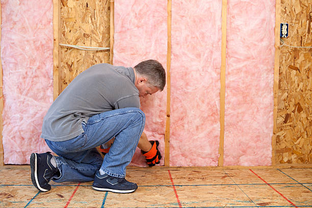 Best Insulation Maintenance and Repair in Val Verde Park, TX